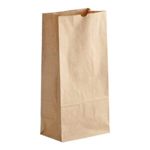 Brown Paper Bags 12 LB - 500 Cs