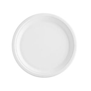 9 Paper Plate Bagasse - 500/CS