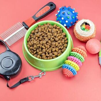 dry-food-with-pets-accessories-on-red-background-photo dry-food-with-pets-accessories-on-red-background-photo